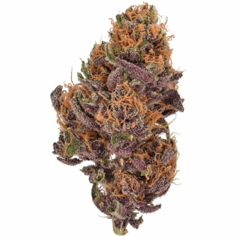 Purple Kush